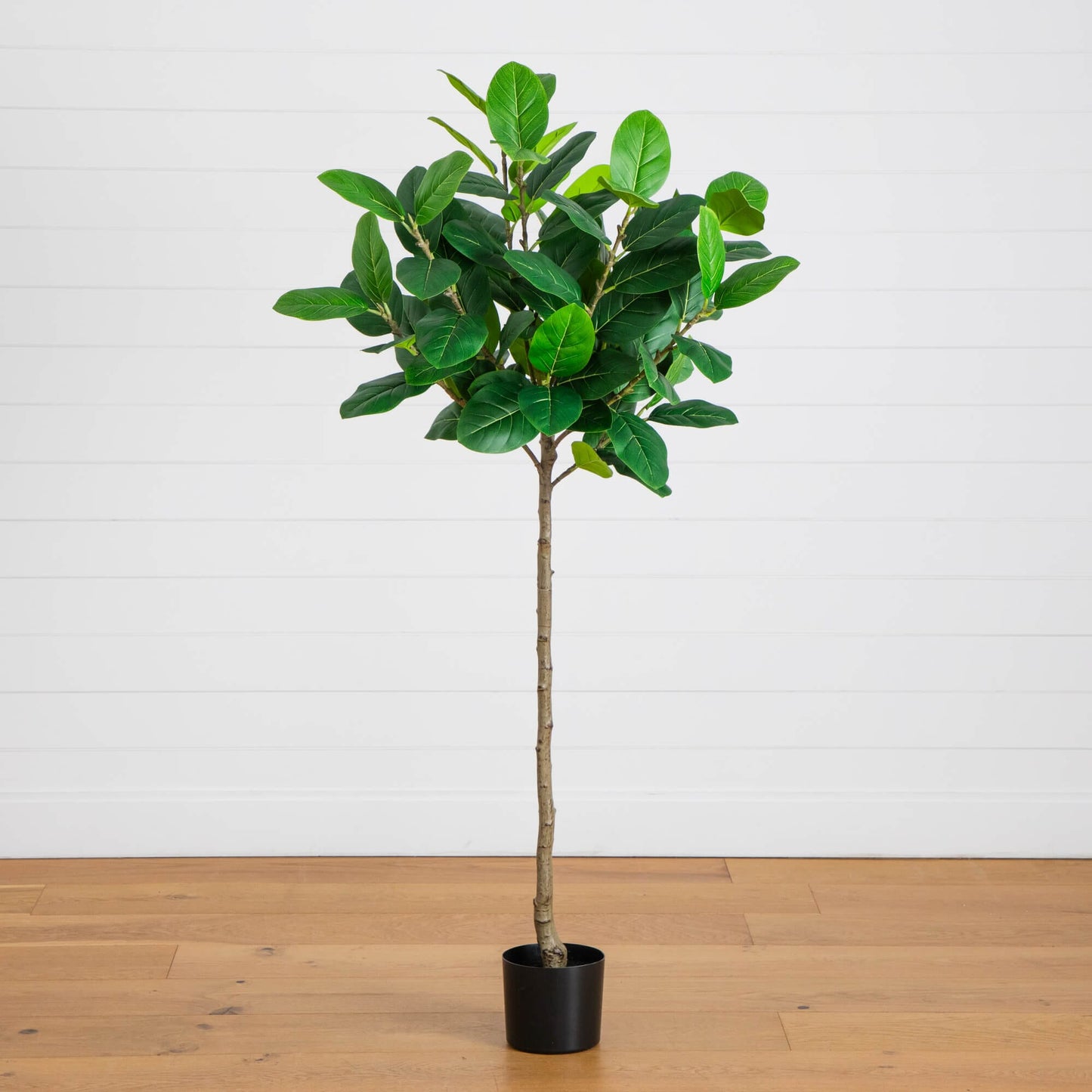 5' Artificial Petite Audrey Ficust Tree
