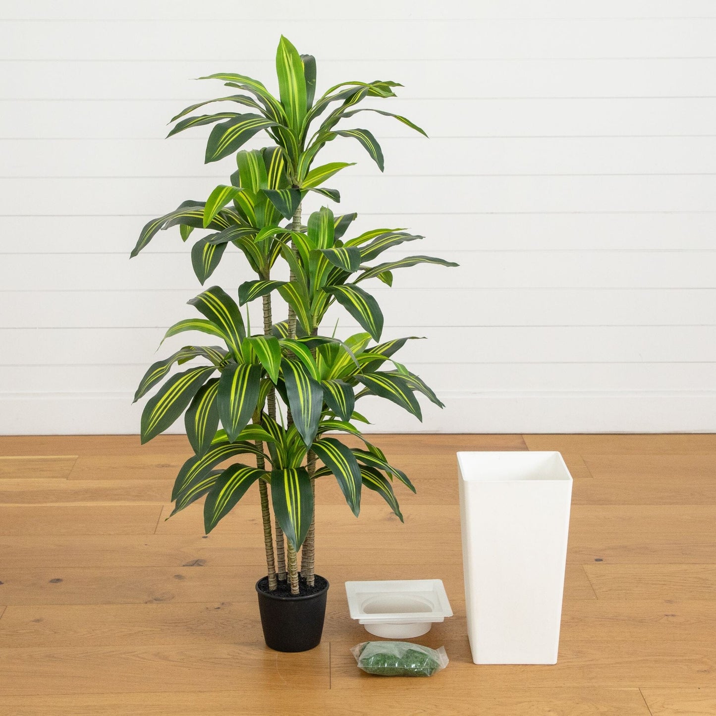 5' Artificial Real Touch Dracaena in Decorative Planter