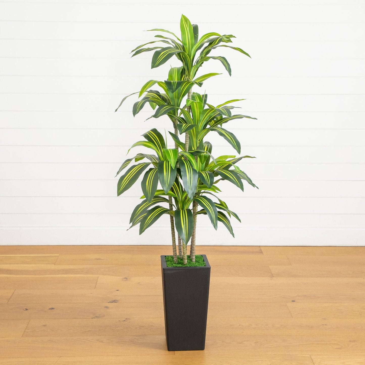 5' Artificial Real Touch Dracaena in Decorative Planter