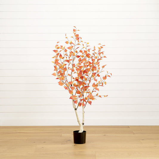 a tree in a pot
