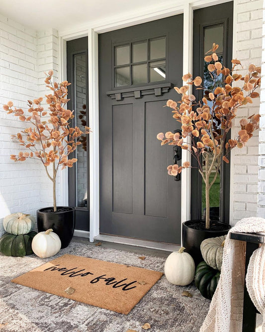 a front door with plants and pumpkins
