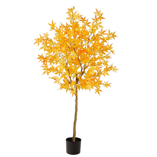 a tree in a pot