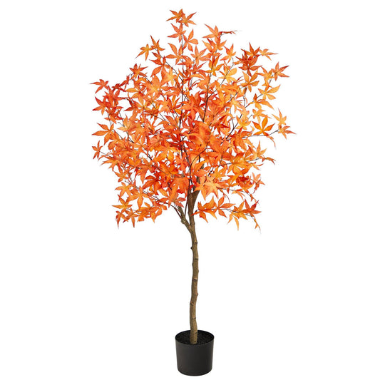 a tree in a pot