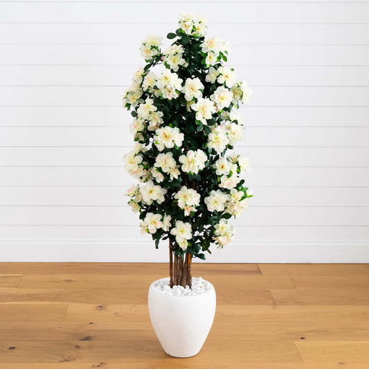 a plant in a pot