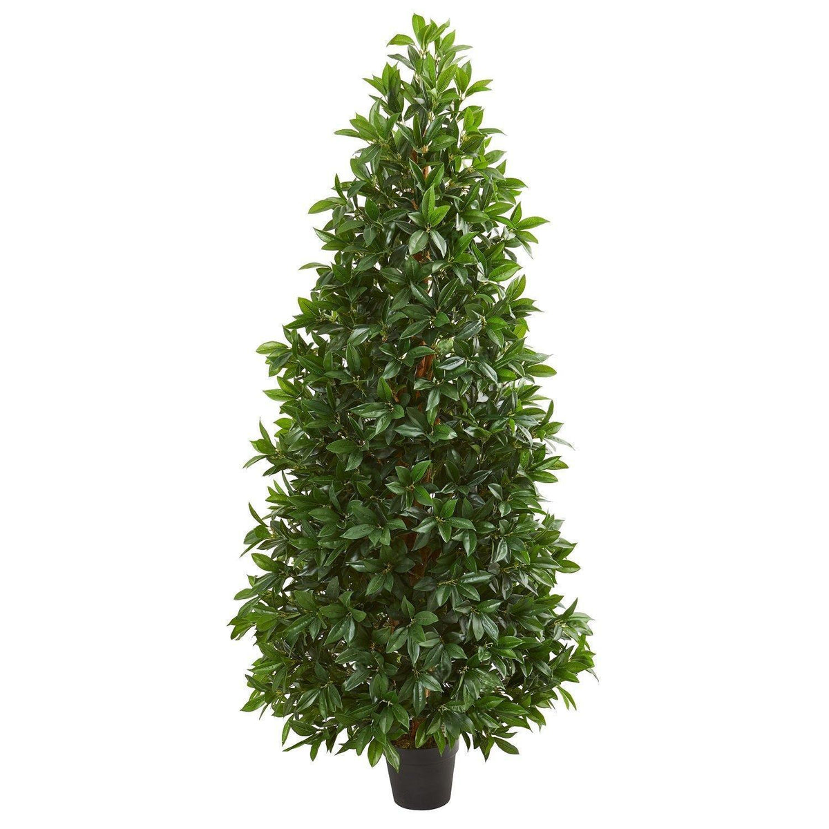 a tree in a pot
