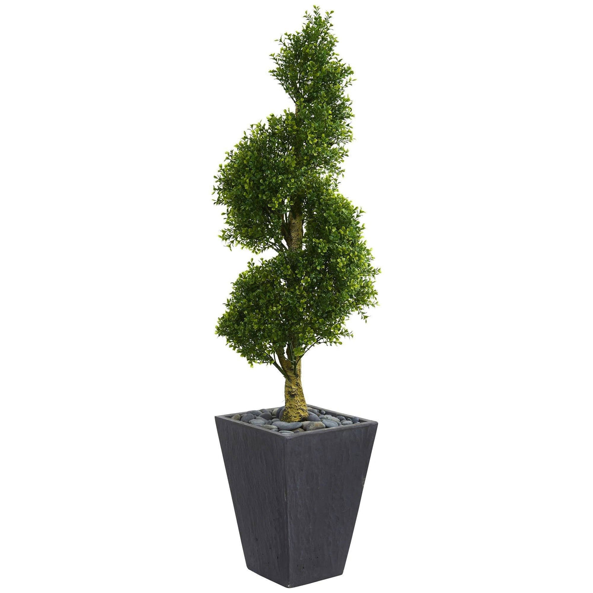 a plant in a pot