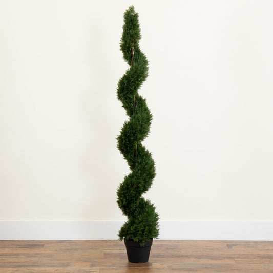 a plant in a pot