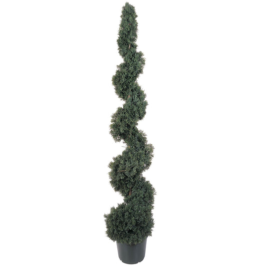 a plant in a pot