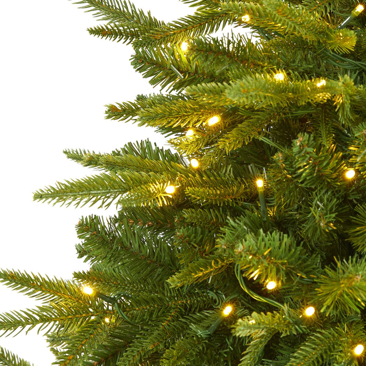 a close up of a christmas tree