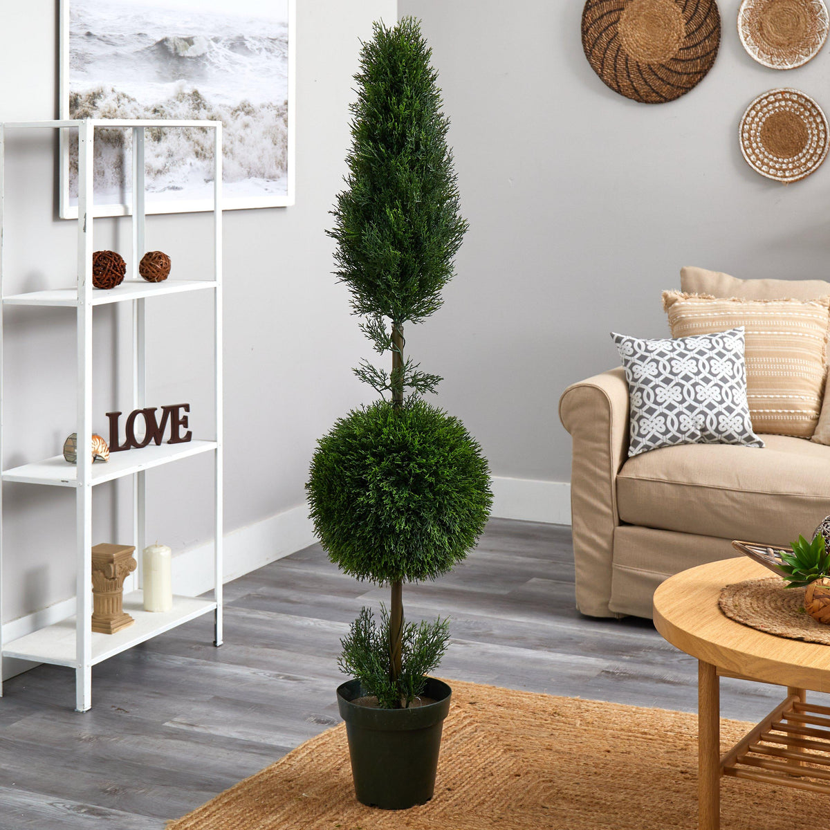 a living room with a plant in a pot