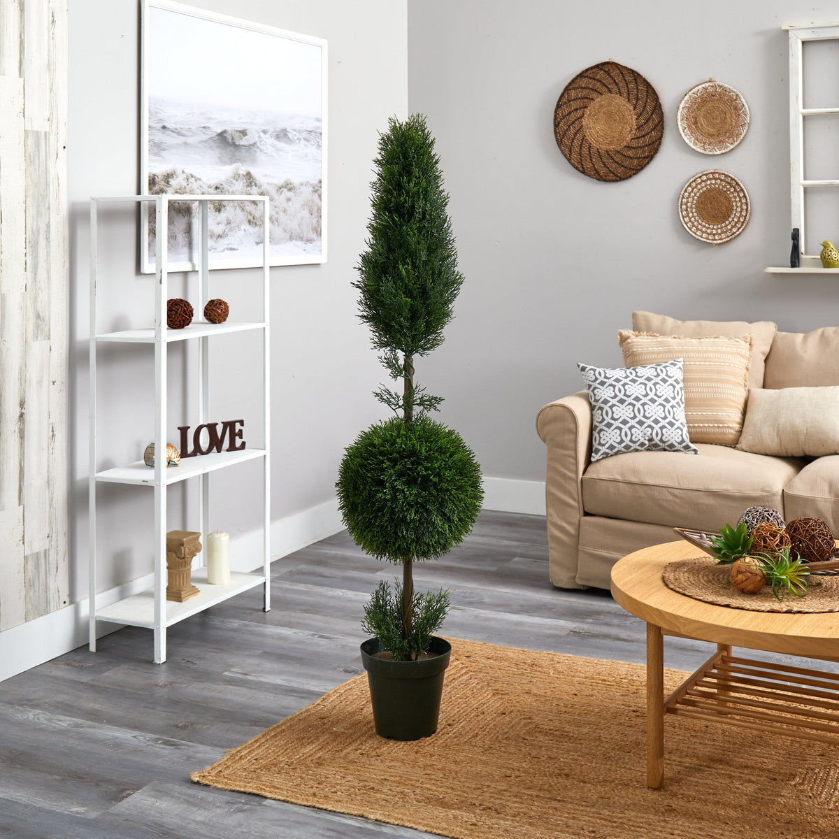 a living room with a couch and a plant