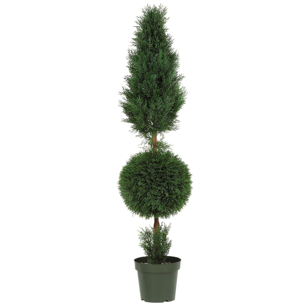 a potted plant with a topiary