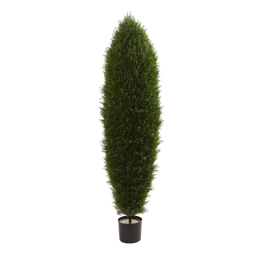 a tall tree in a pot
