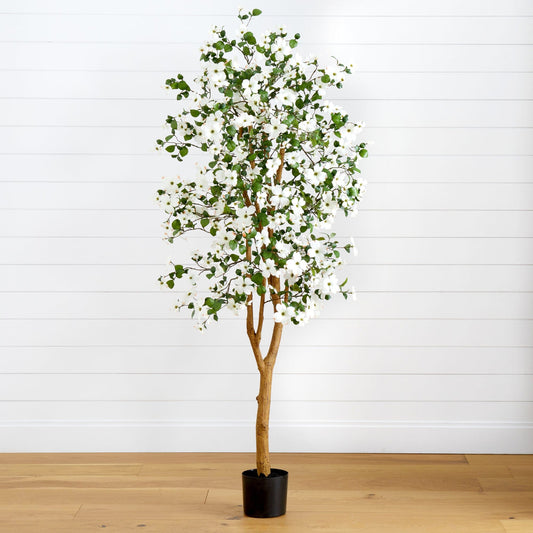 a tree with white flowers in a pot