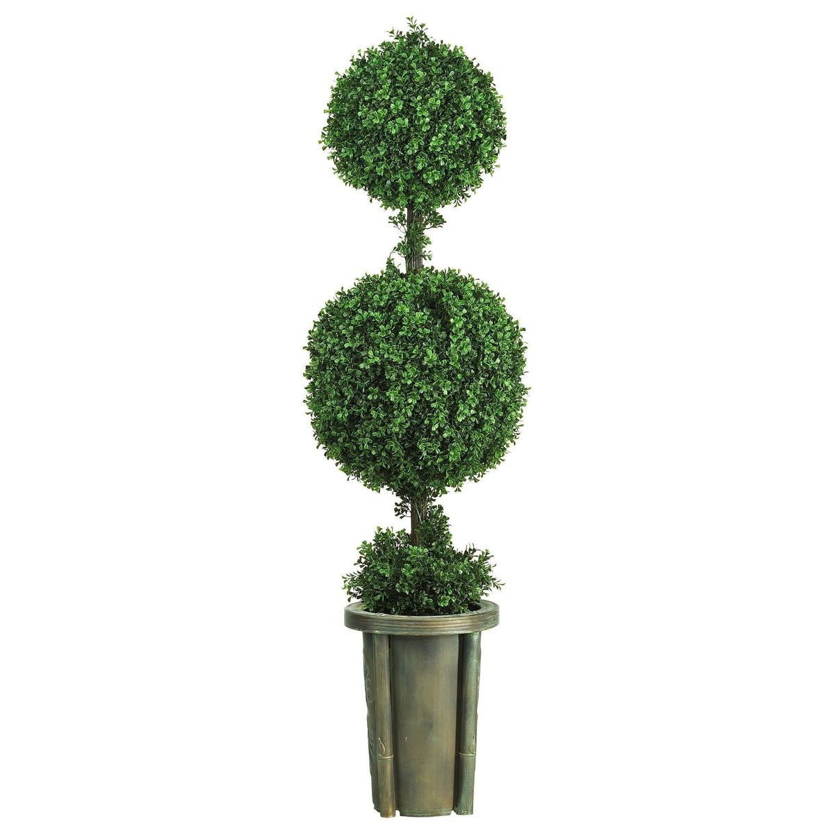 a plant in a pot