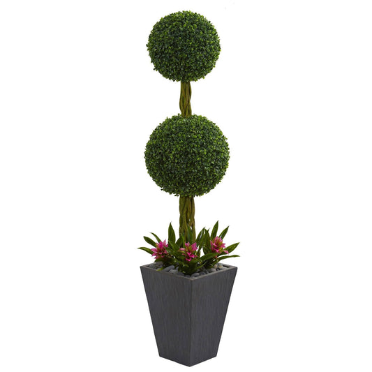 a plant in a pot