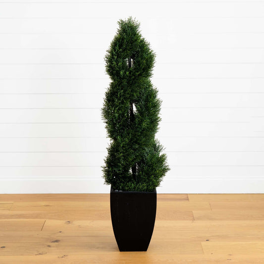 a plant in a pot