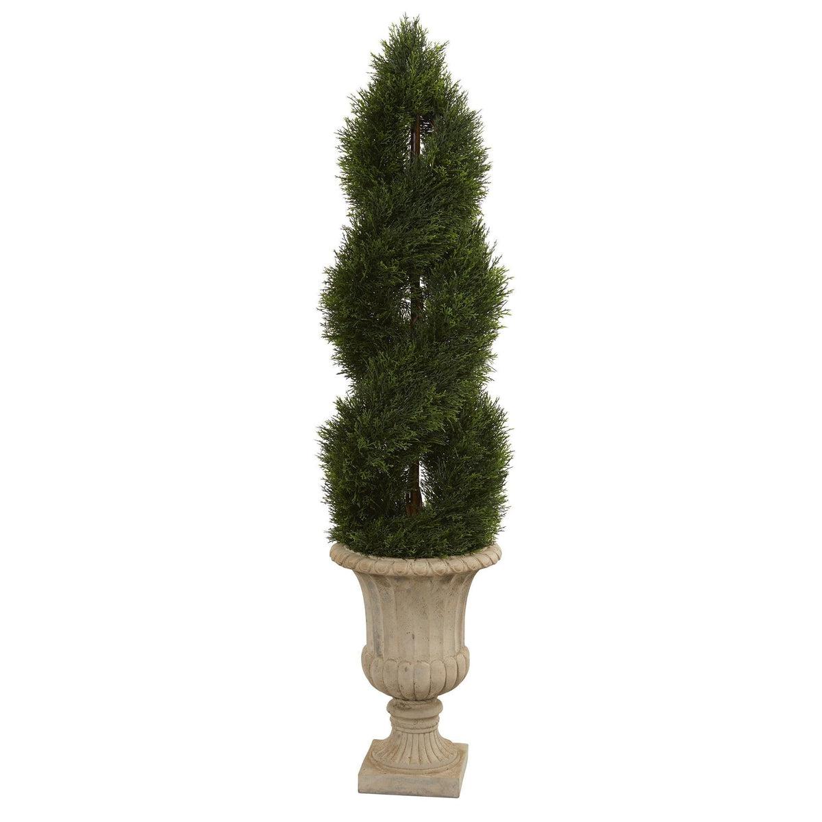 a plant in a pot