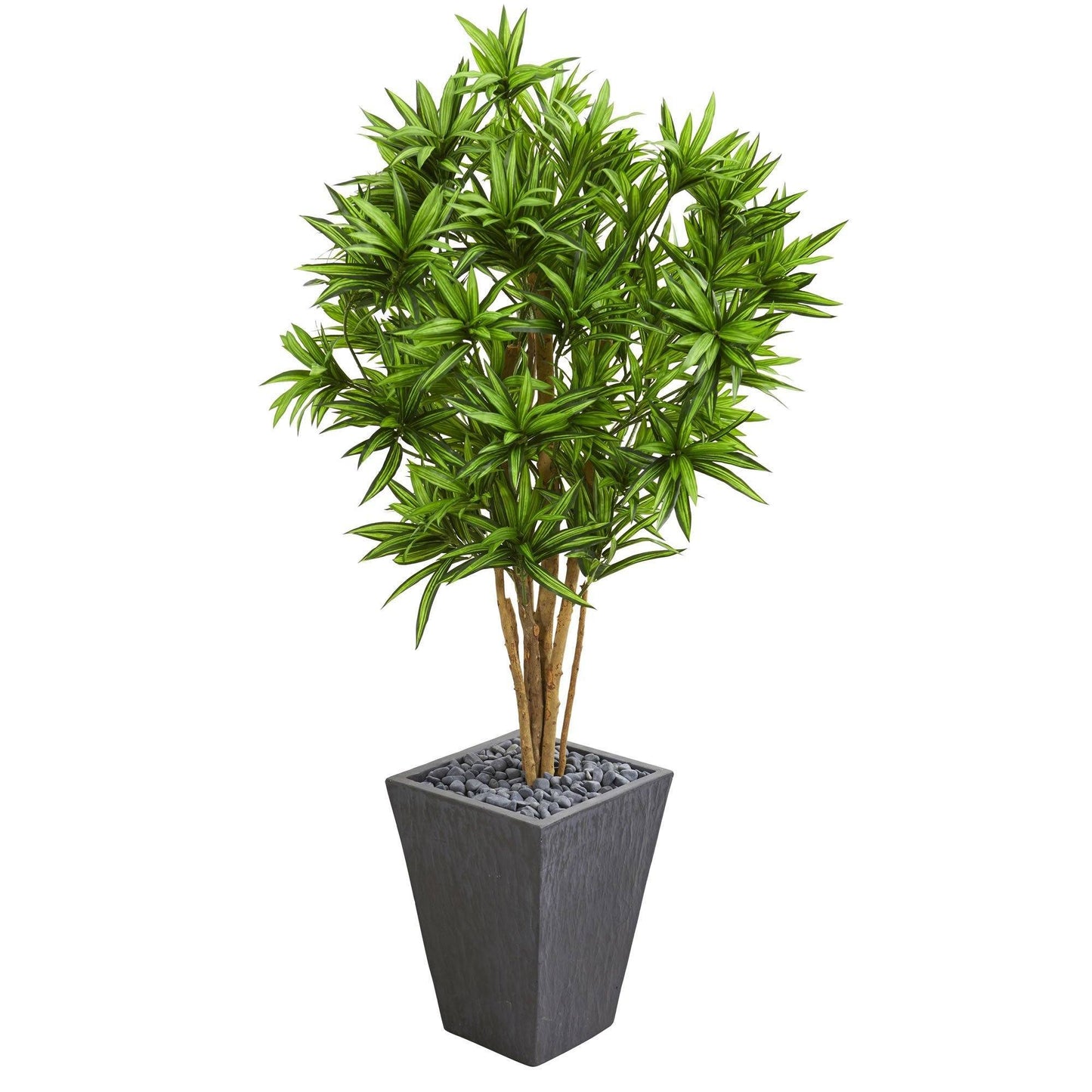 5' Dracaena Artificial Tree in Slate Finished Planter