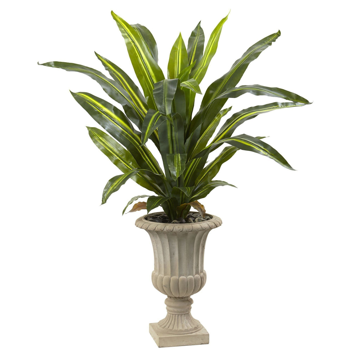 a plant in a pot