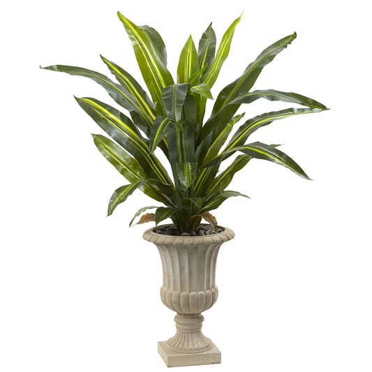 a plant in a pot