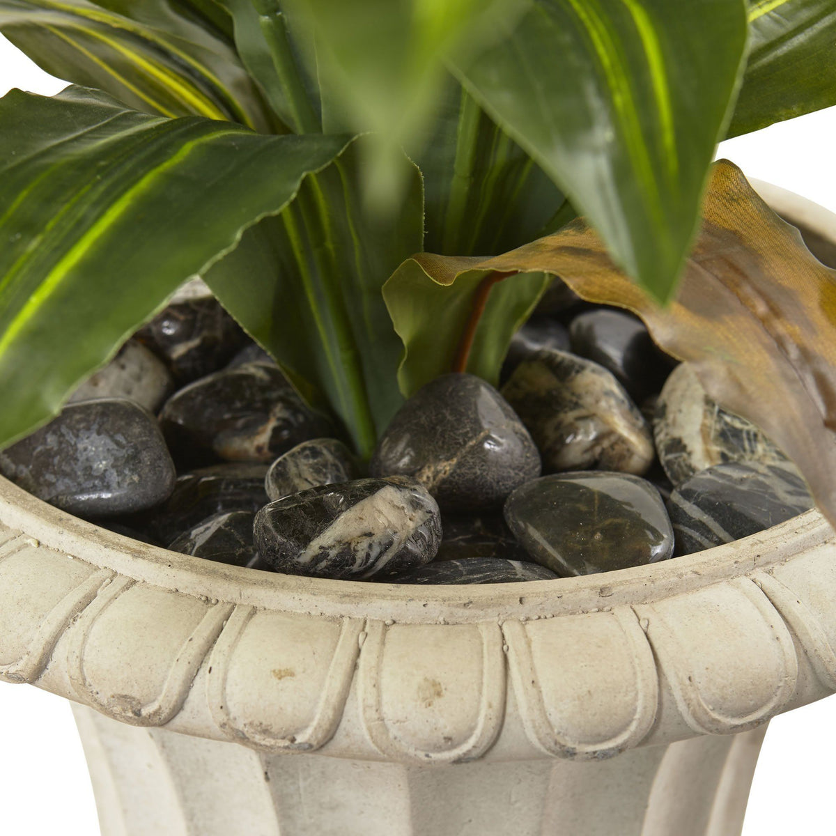 a plant in a pot