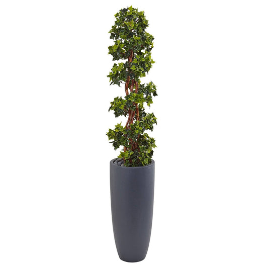 a plant in a pot