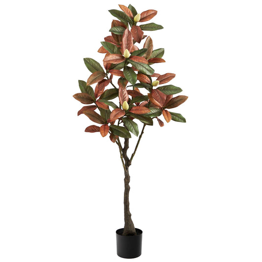 a potted plant with leaves