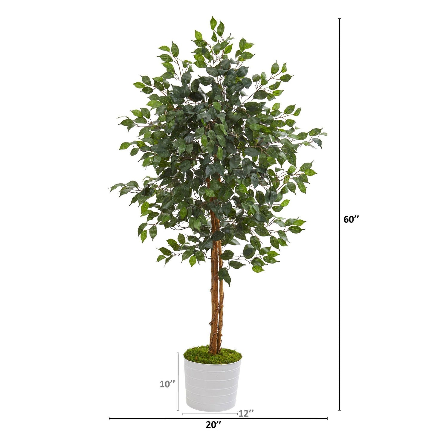 5’ Ficus Artificial Tree in White Tin Planter