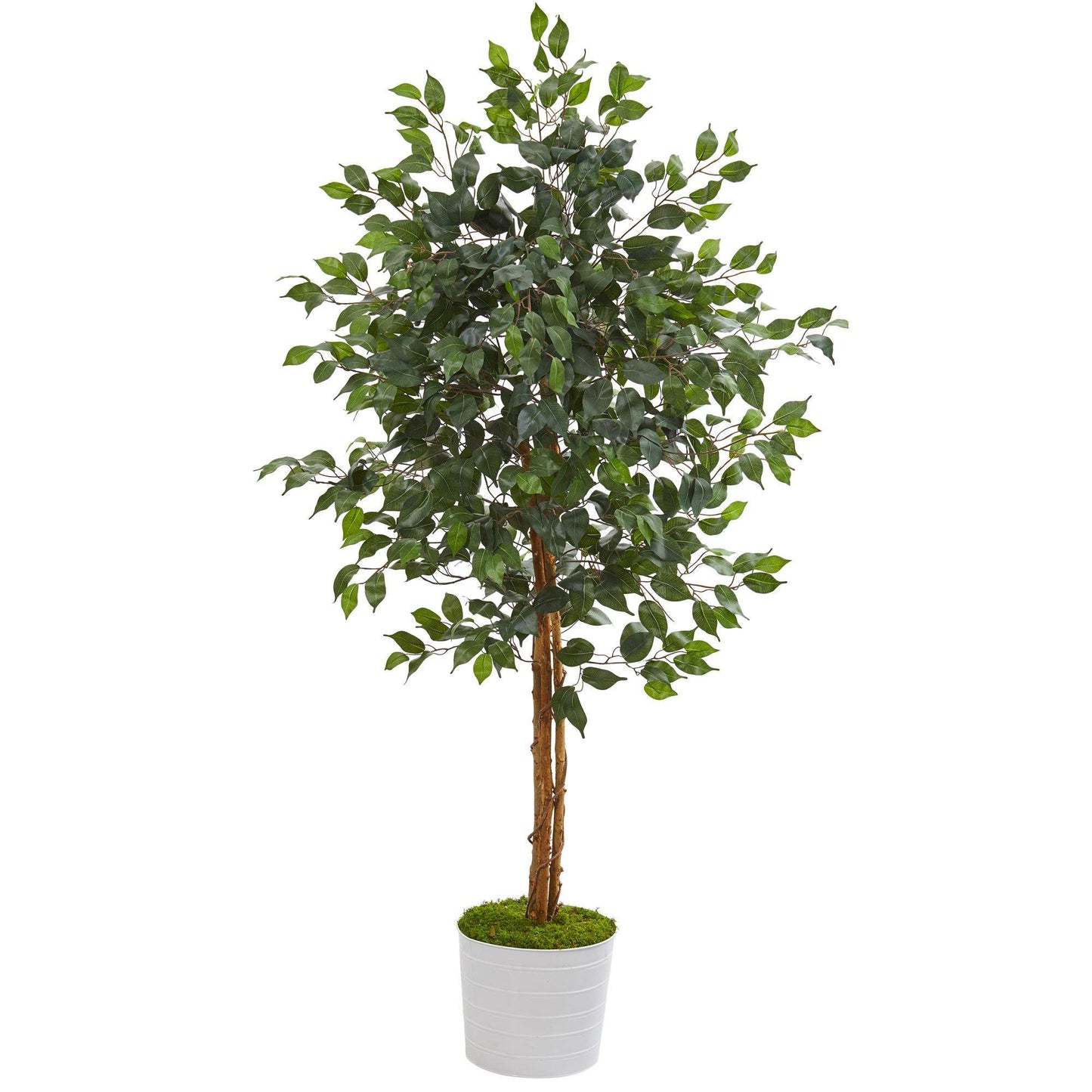 5’ Ficus Artificial Tree in White Tin Planter