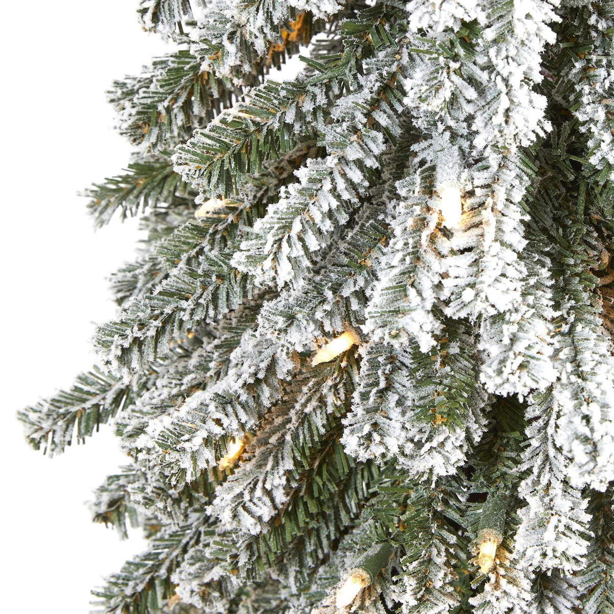 a close up of a tree