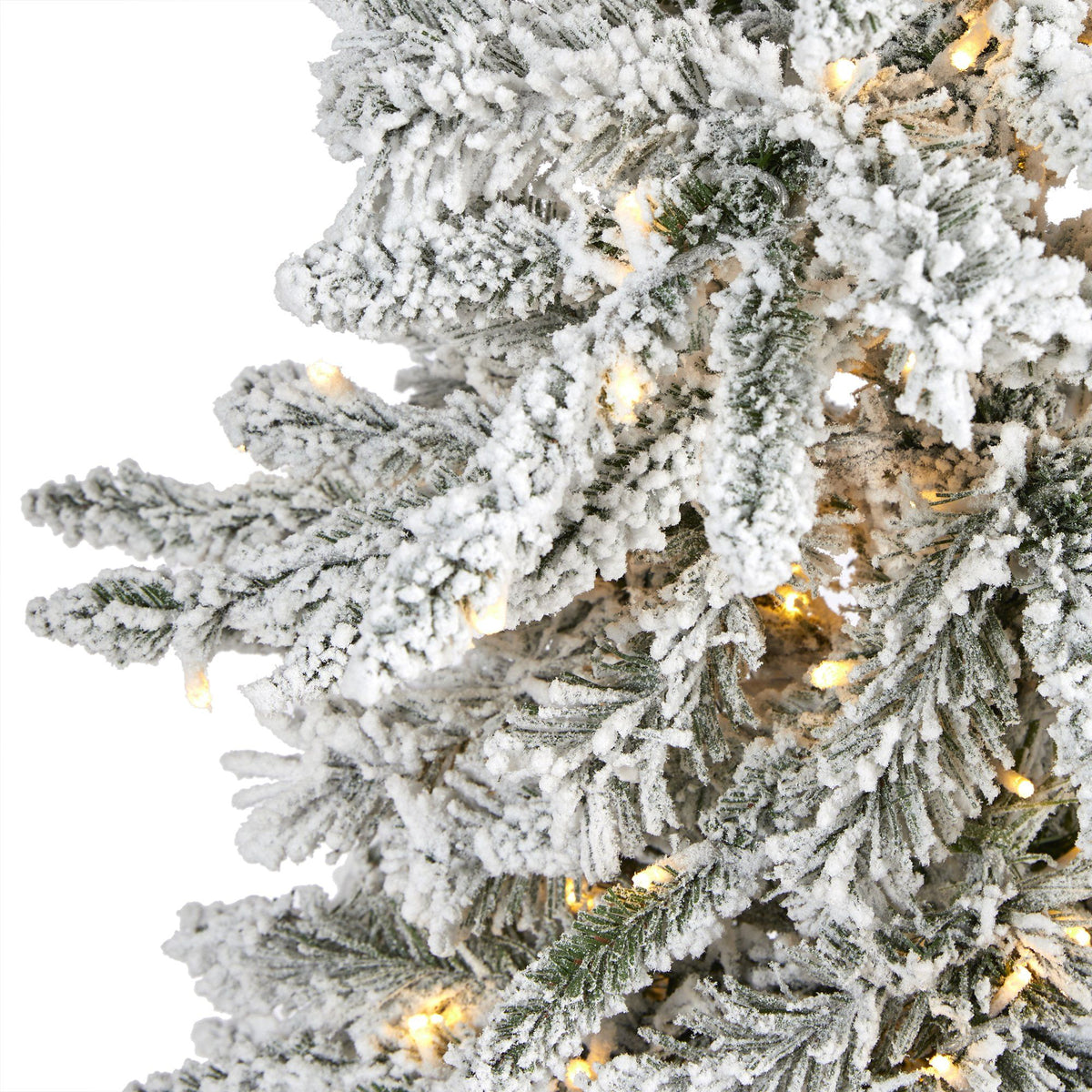 a close up of a tree