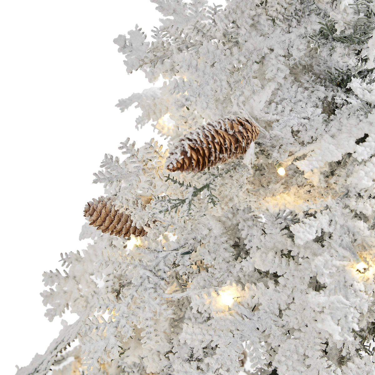 a pinecone on a tree covered in snow