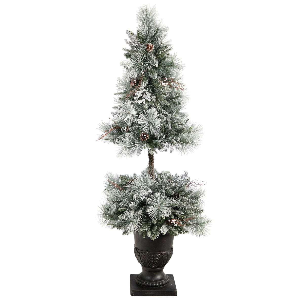 a tree in a pot