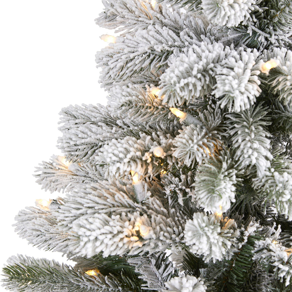 a close up of a christmas tree