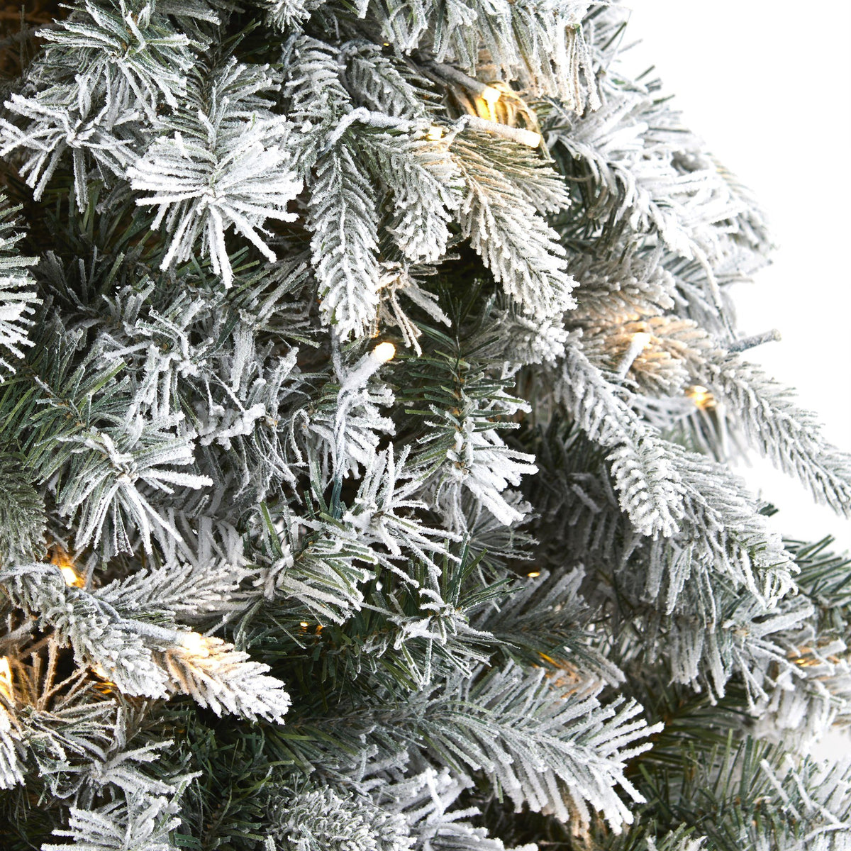 a close up of a christmas tree