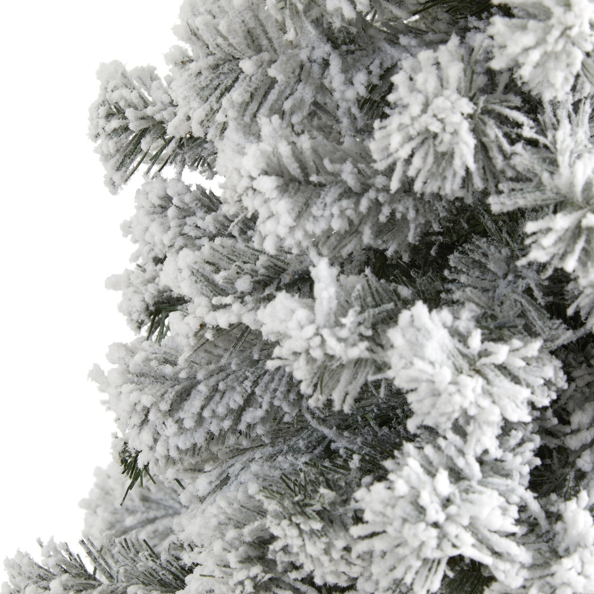 a close up of a tree