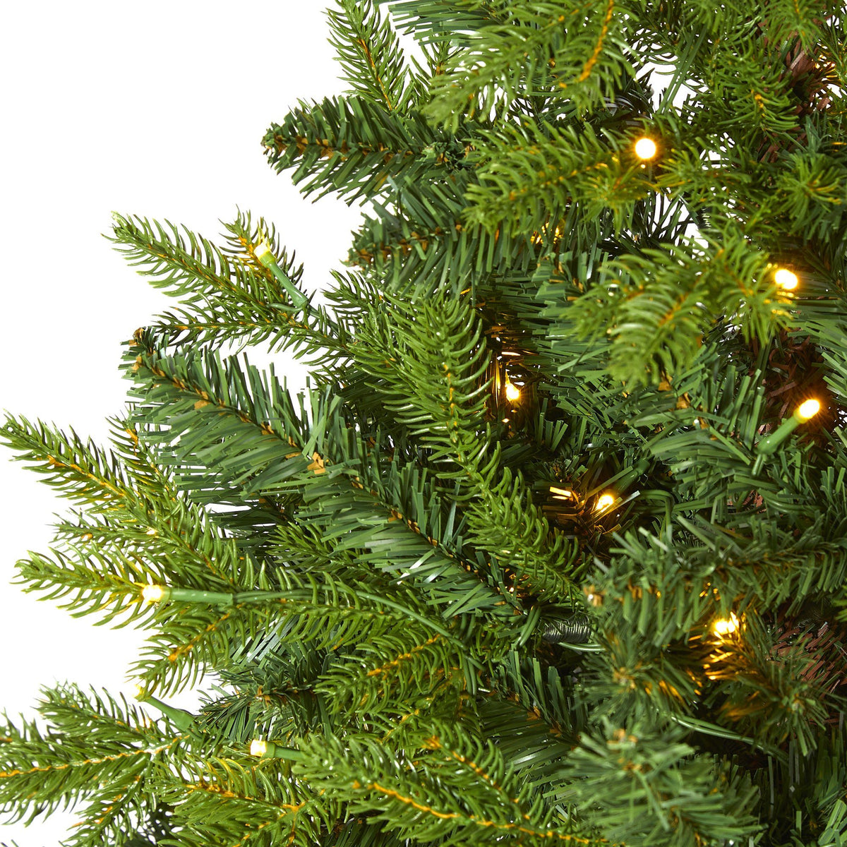 a close up of a christmas tree