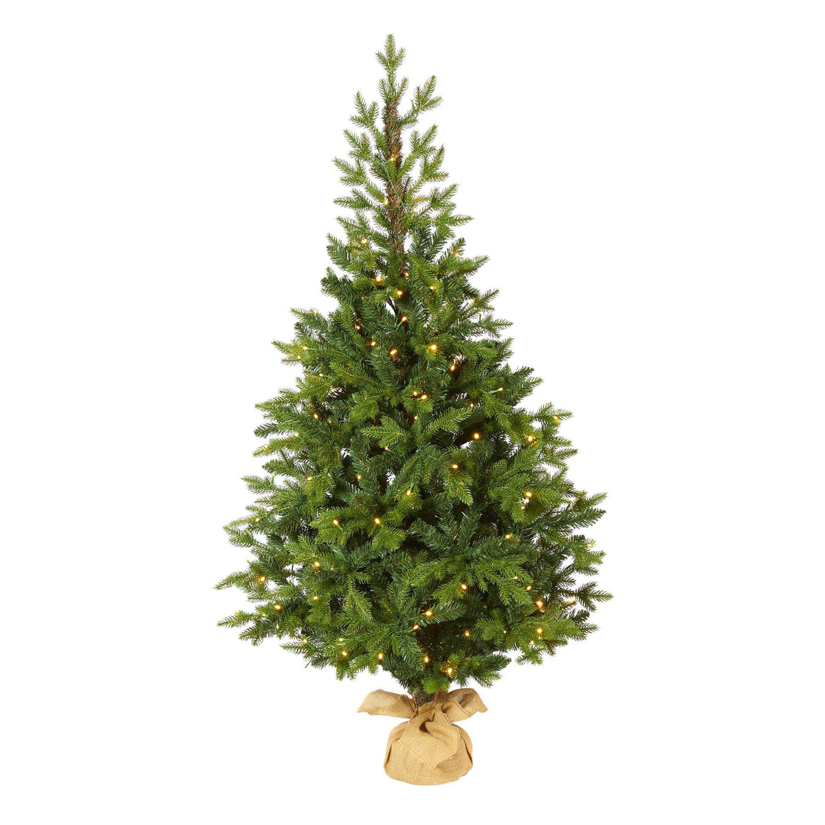 a christmas tree with lights