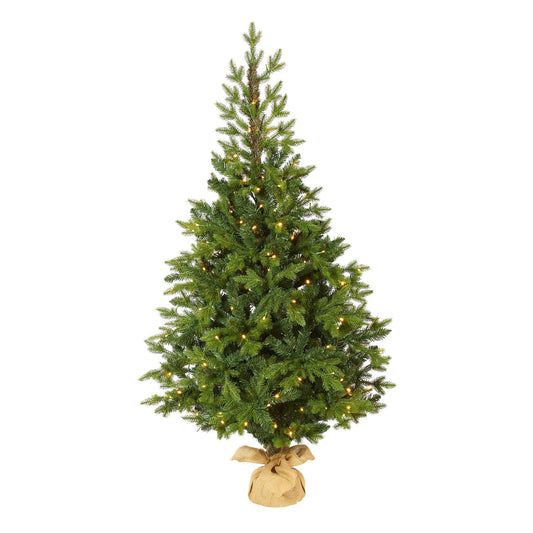 a christmas tree with lights