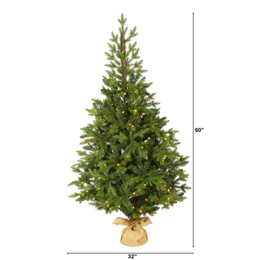 a tall christmas tree with lights