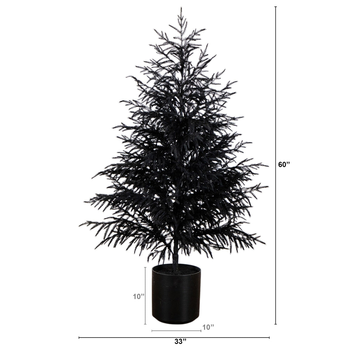 a tall tree in a pot