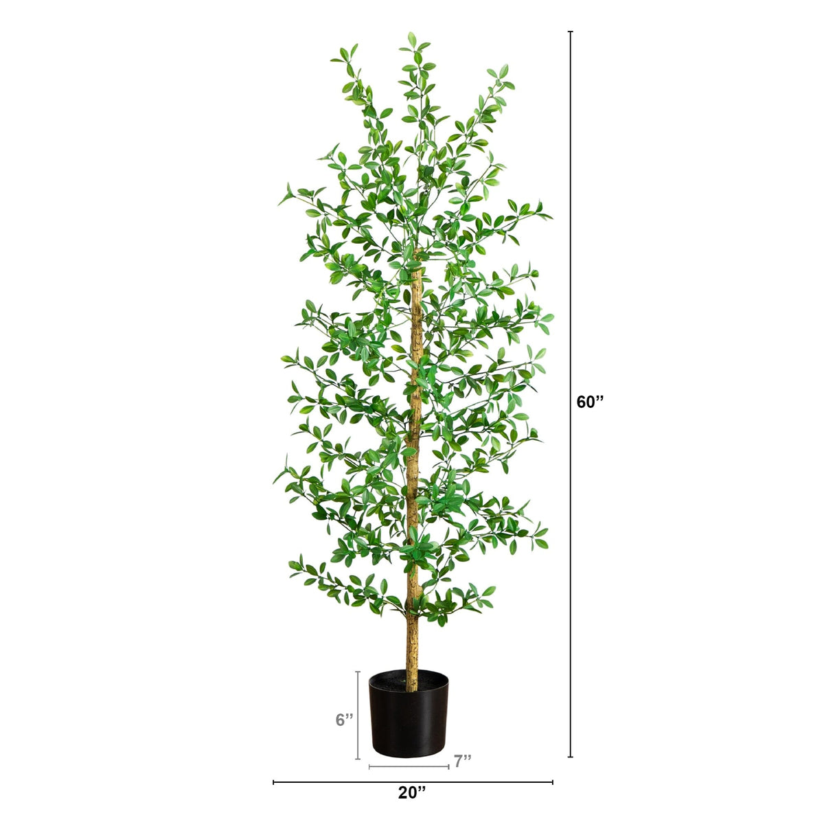 a tall tree in a pot