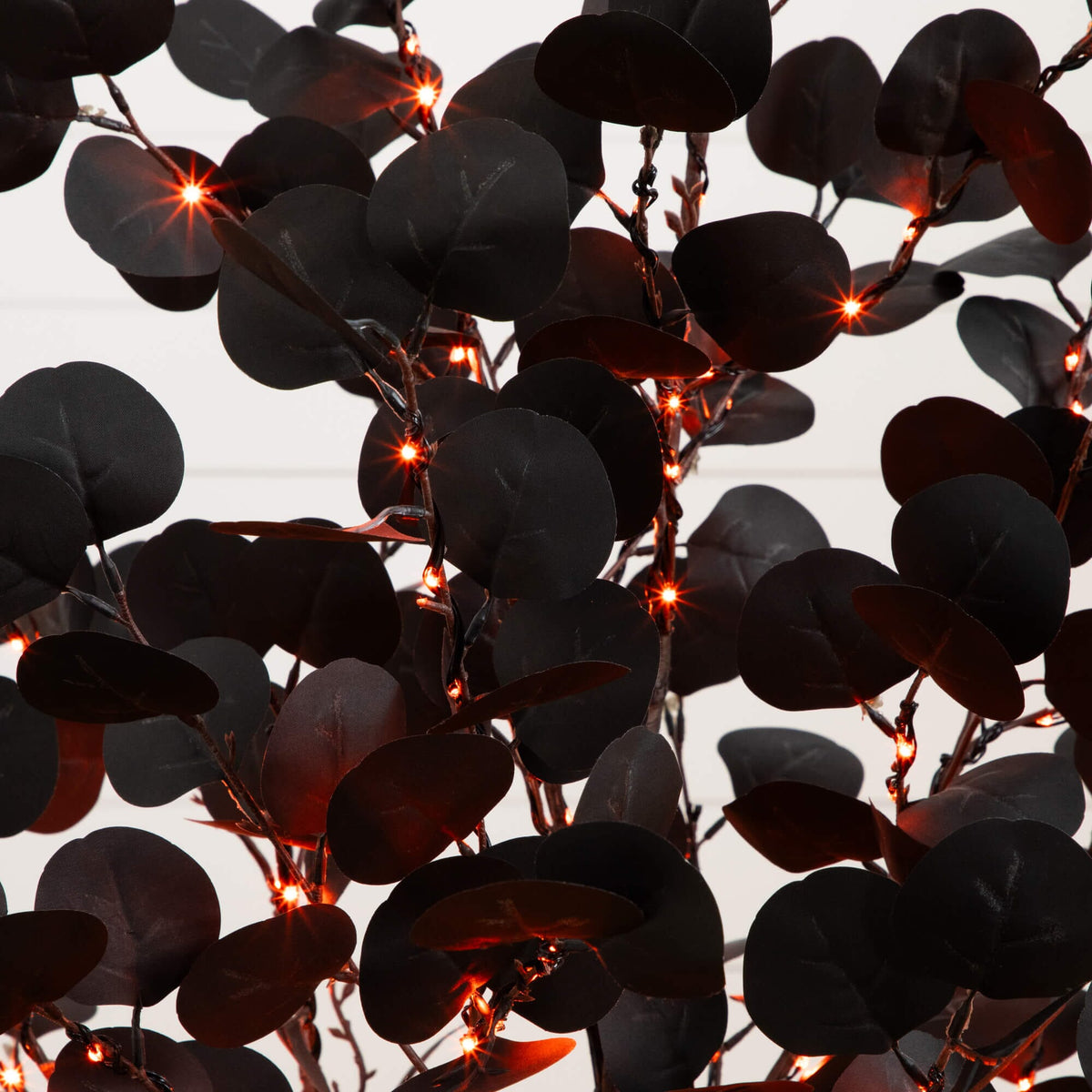 a black leaves with lights