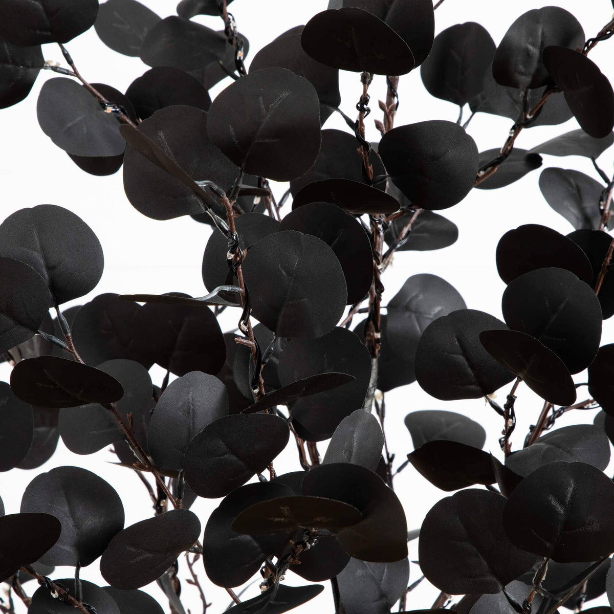 a group of black leaves