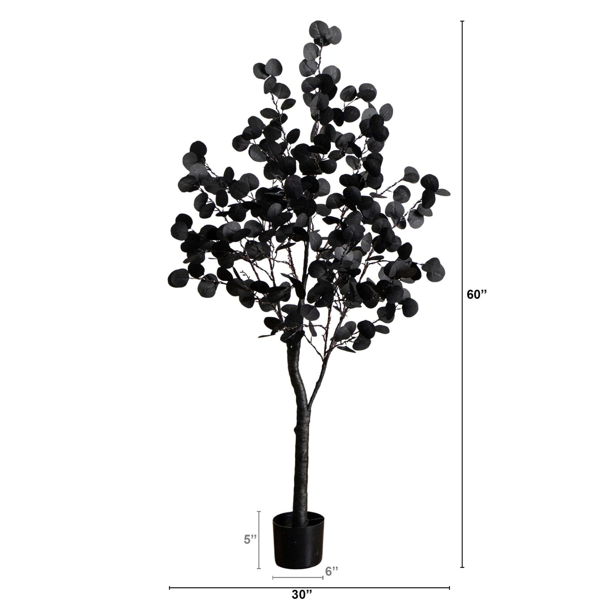 a black plant in a pot