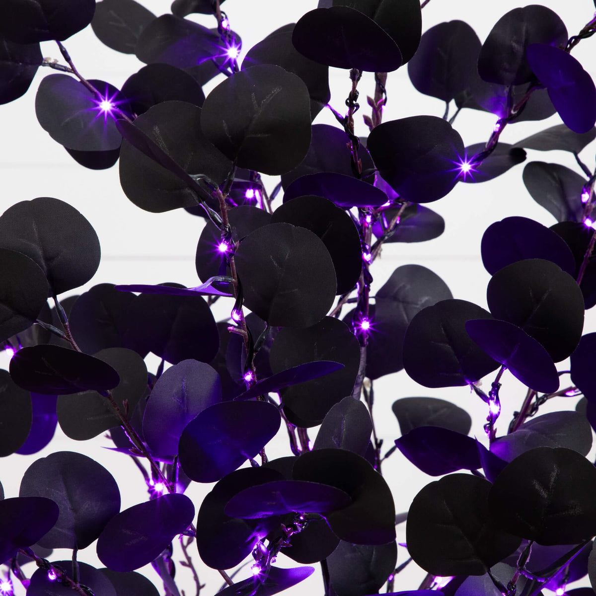 a group of black leaves with purple lights