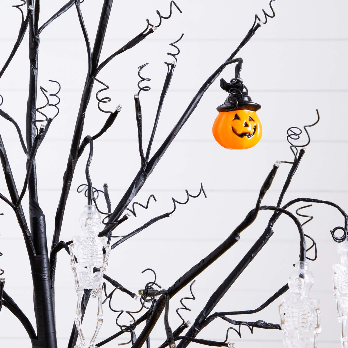 a tree with a pumpkin and a black hat