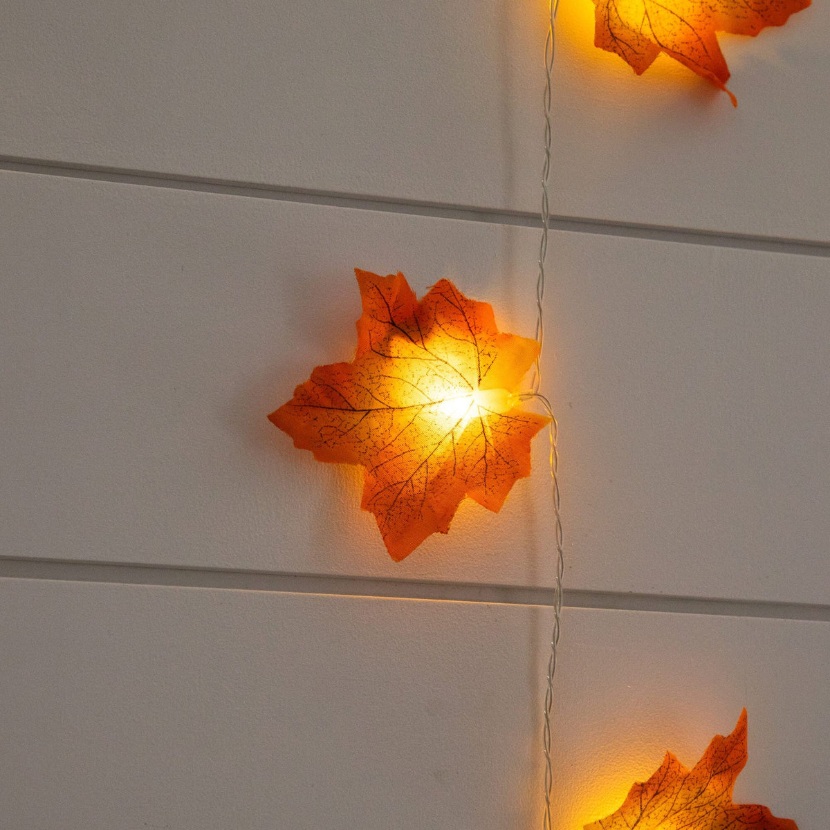 a string of lights with leaves on it