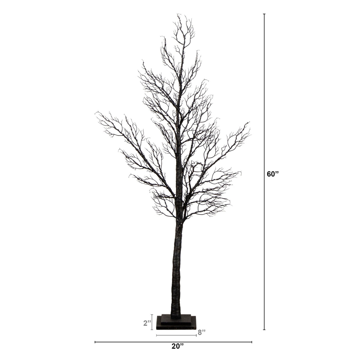 a tree with no leaves